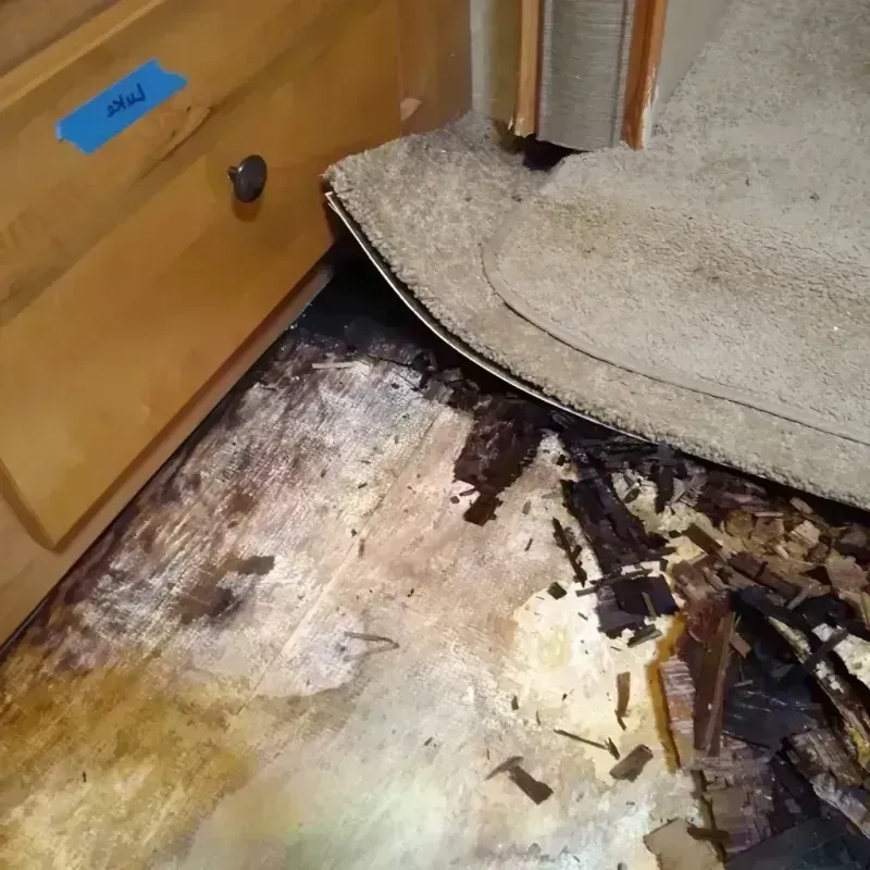 Wood Floor Water Damage in Cloverly, MD